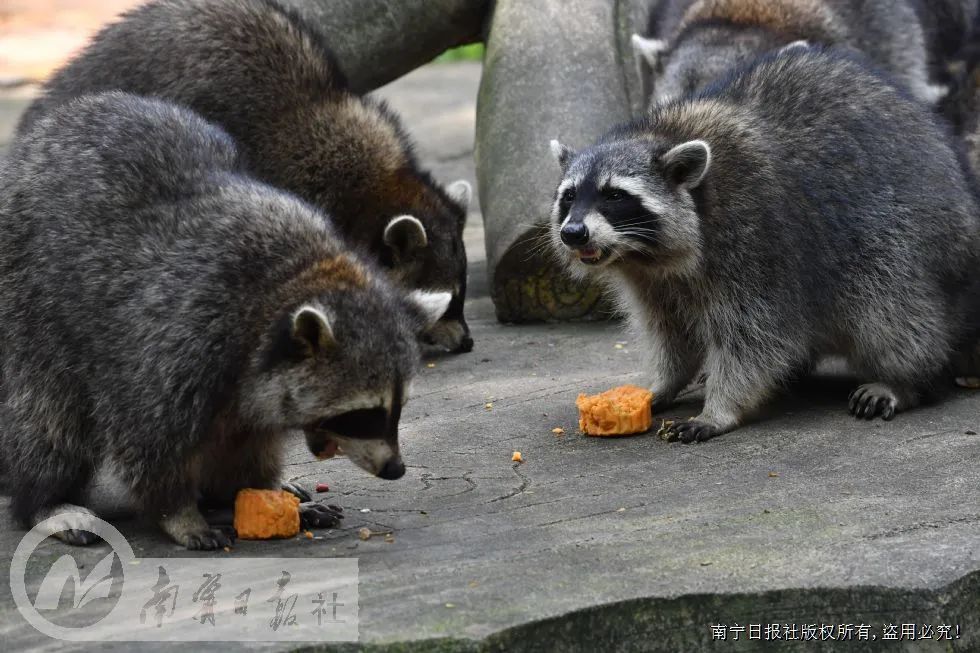 早读丨怒了！公司中秋节没发月饼，员工将经理打到住院休闲区蓝鸢梦想 - Www.slyday.coM