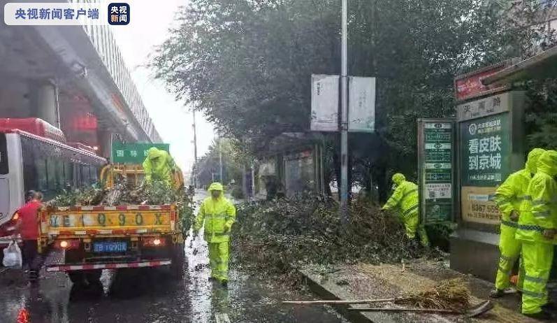 辽宁大连出现11级大风 市中心305株树木倒伏休闲区蓝鸢梦想 - Www.slyday.coM