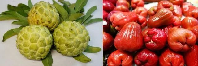 早读丨怒了！公司中秋节没发月饼，员工将经理打到住院休闲区蓝鸢梦想 - Www.slyday.coM