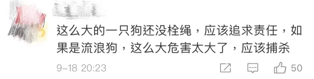 触目惊心！老人路上被恶犬撕咬身亡！休闲区蓝鸢梦想 - Www.slyday.coM