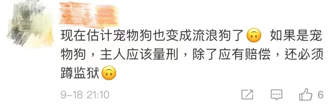 触目惊心！老人路上被恶犬撕咬身亡！休闲区蓝鸢梦想 - Www.slyday.coM
