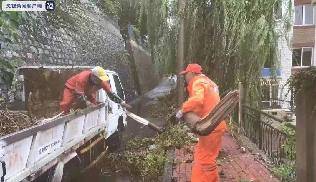 辽宁大连出现11级大风 市中心305株树木倒伏休闲区蓝鸢梦想 - Www.slyday.coM