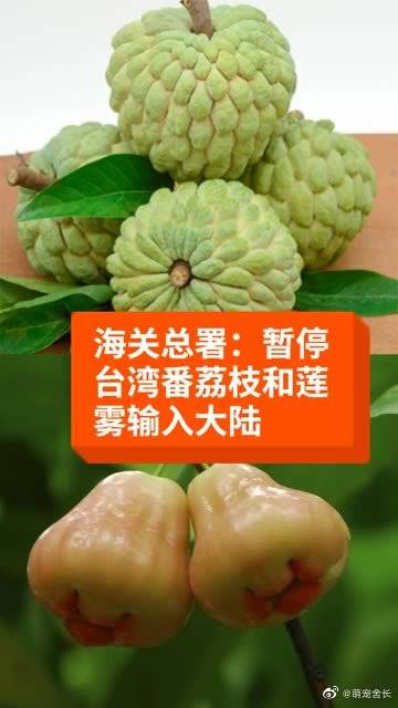 海关总署:暂停台湾番荔枝和莲雾输入大陆9月18日