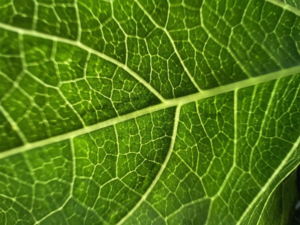 iPhone 13 Pro Max评测：用自由转换的焦点 “刷”出新的高度休闲区蓝鸢梦想 - Www.slyday.coM