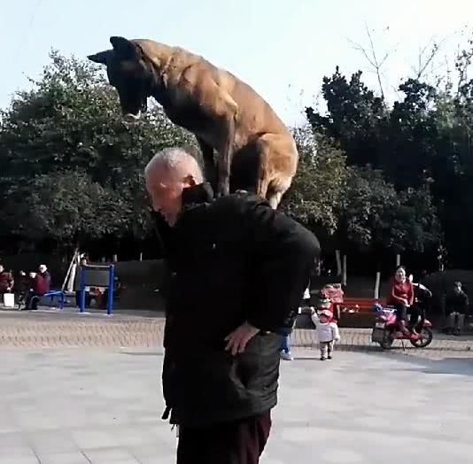 网友买了一只狗狗送给爷爷,结果回家时却看到了这样的画面休闲区蓝鸢梦想 - Www.slyday.coM 网友买了一只狗狗送给爷爷,结果回家时却看到了这样的画面休闲区蓝鸢梦想 - Www.slyday.coM