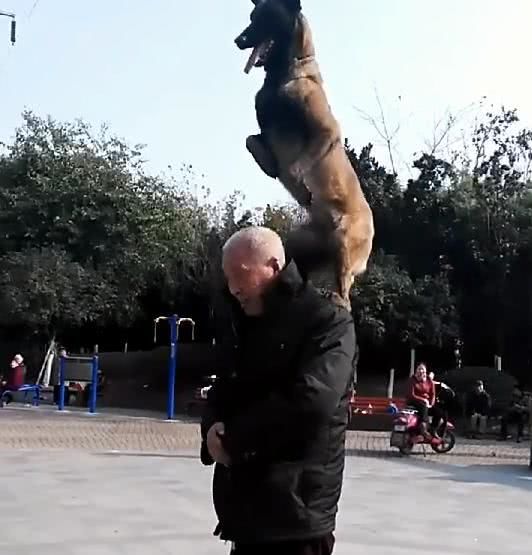 网友买了一只狗狗送给爷爷,结果回家时却看到了这样的画面休闲区蓝鸢梦想 - Www.slyday.coM 网友买了一只狗狗送给爷爷,结果回家时却看到了这样的画面休闲区蓝鸢梦想 - Www.slyday.coM