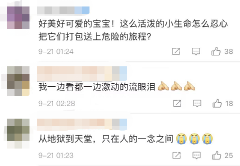 上海街头惊现“滴血”盲盒，100多只奶猫奶狗奄奄一息...休闲区蓝鸢梦想 - Www.slyday.coM