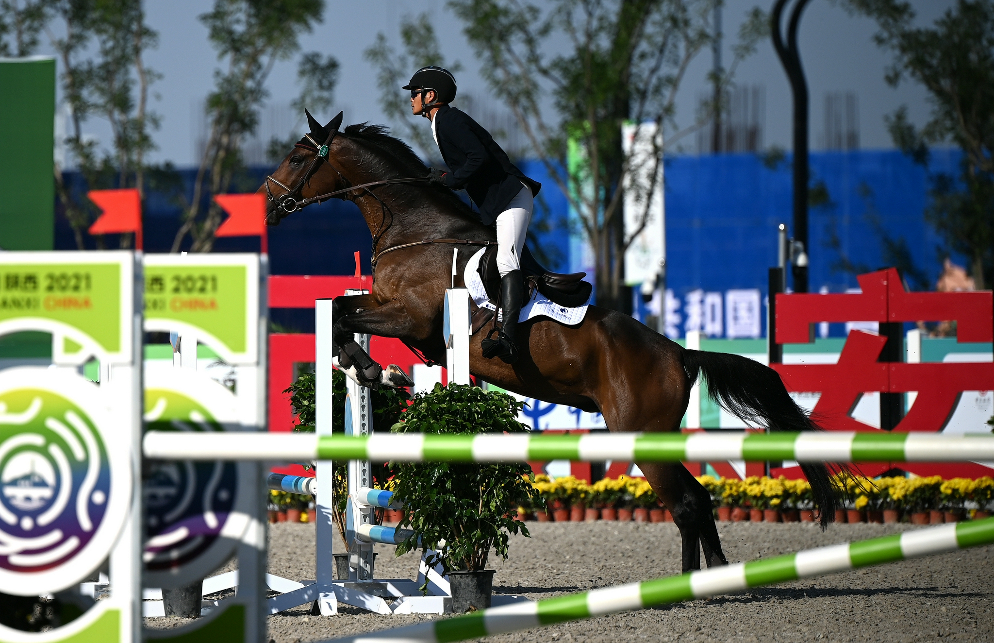 马术——三项赛团体赛:西藏队夺冠