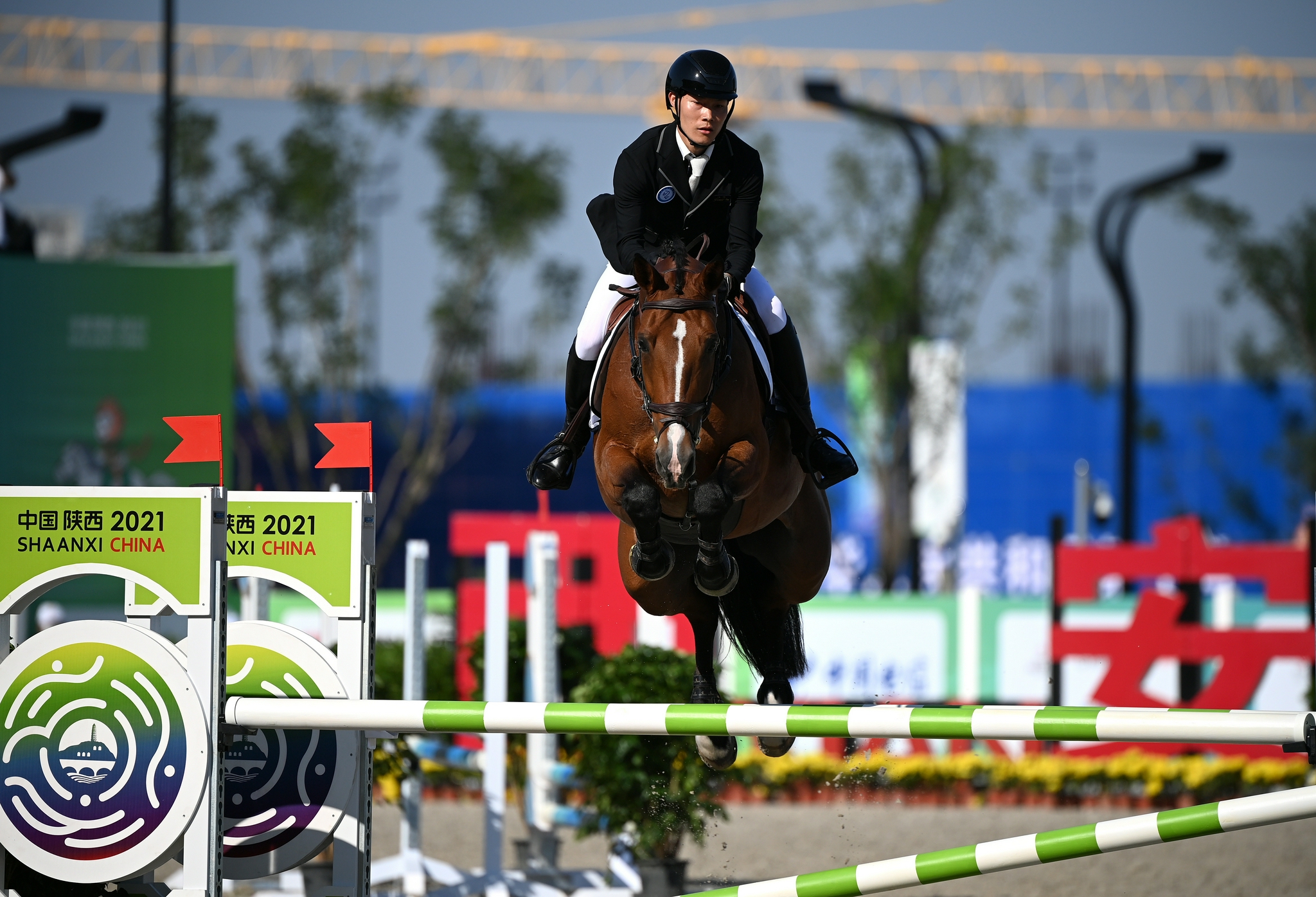 马术——三项赛团体赛:西藏队夺冠