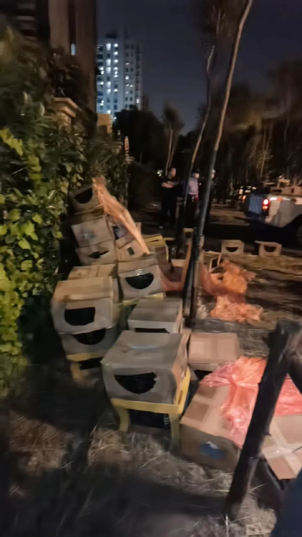 上海街头惊现“滴血”盲盒，100多只奶猫奶狗奄奄一息...休闲区蓝鸢梦想 - Www.slyday.coM