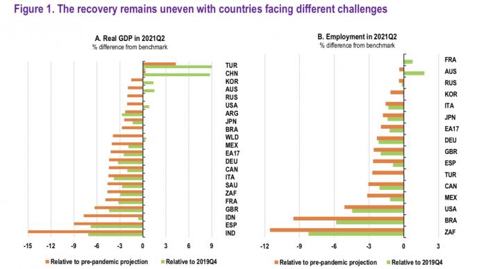 图：全球经济恢复不平衡/数据来源：OECD