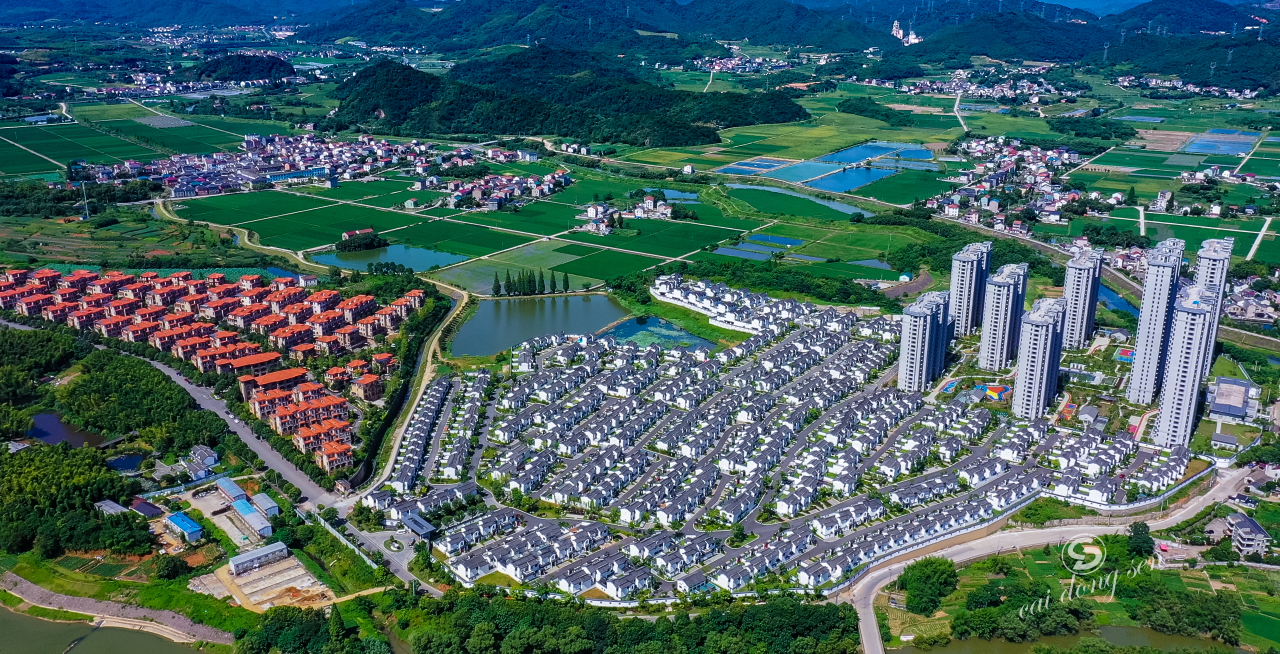 聚力五美绘枫景枫桥镇积极创建美丽城镇县域副中心型省级样板