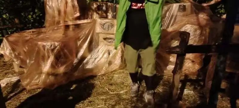 上海街头惊现“滴血”盲盒，100多只奶猫奶狗奄奄一息...休闲区蓝鸢梦想 - Www.slyday.coM