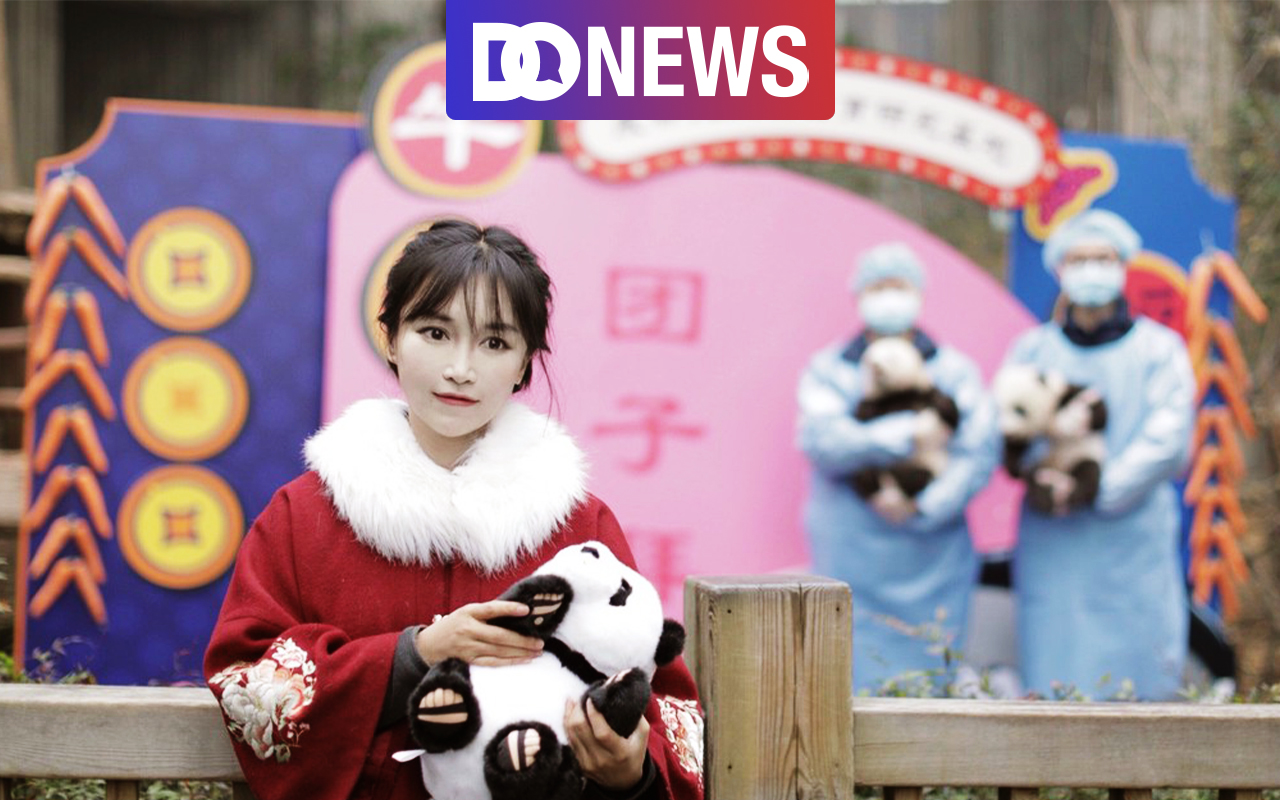 李子柒与papi酱顶流网红同运不同命