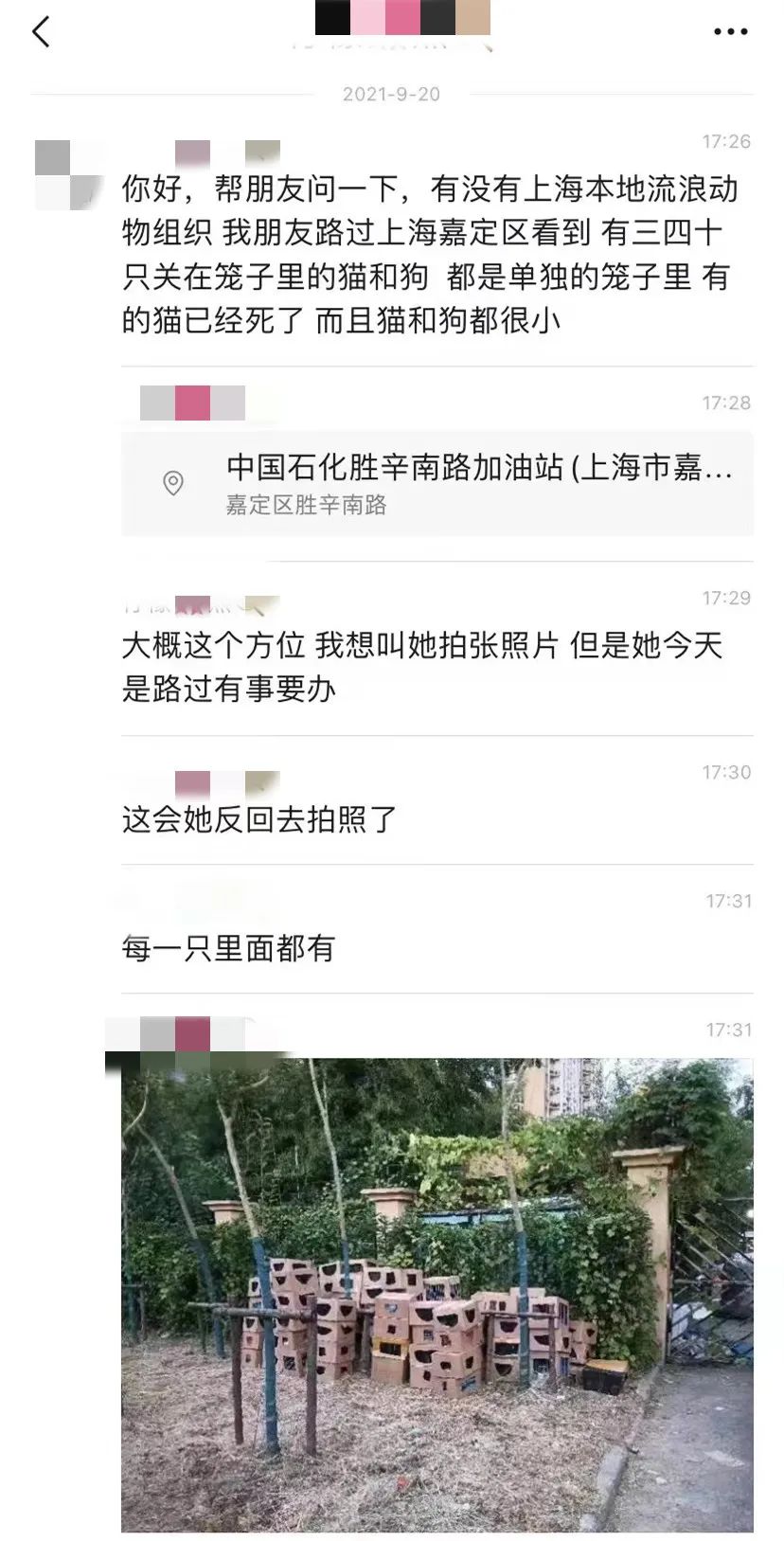 上海街头惊现“滴血”盲盒，100多只奶猫奶狗奄奄一息...休闲区蓝鸢梦想 - Www.slyday.coM