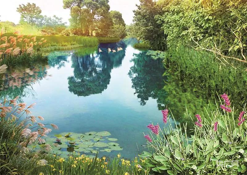 无锡新吴打造水清岸绿景美的水环境