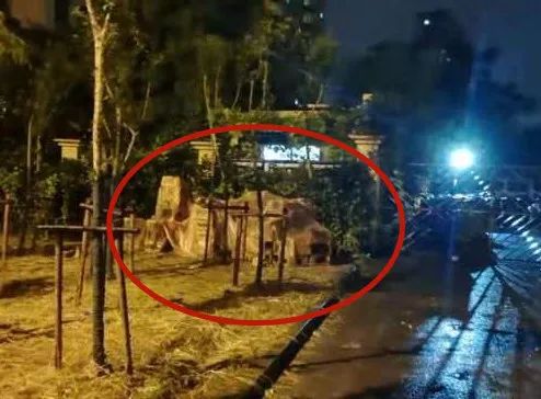 上海街头惊现“滴血”盲盒，100多只奶猫奶狗奄奄一息...休闲区蓝鸢梦想 - Www.slyday.coM