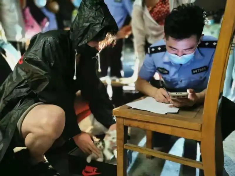 上海街头惊现“滴血”盲盒，100多只奶猫奶狗奄奄一息...休闲区蓝鸢梦想 - Www.slyday.coM