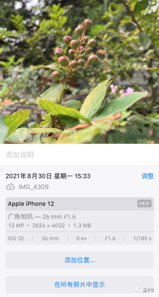 苹果iOS 15发布：关机也能定位，ASMR重度用户狂喜，这波库克又“去苹果化”了休闲区蓝鸢梦想 - Www.slyday.coM