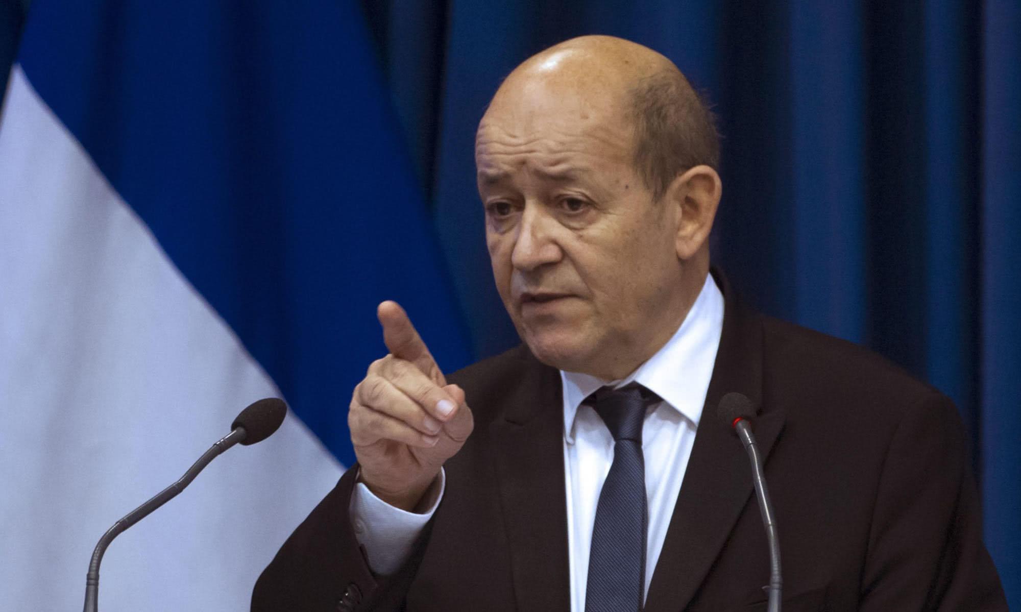 法国外交部长勒德里昂