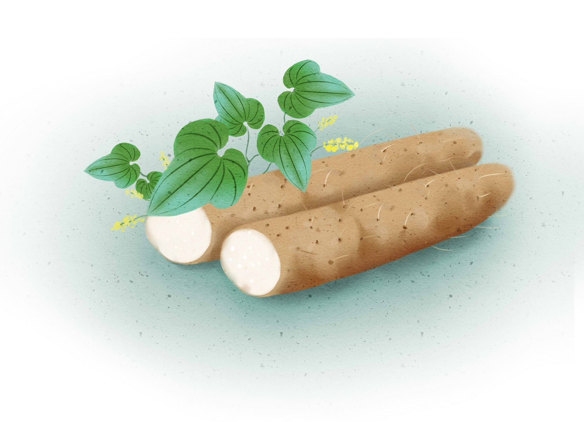 脂肪肝的“死对头”原来是这4种食物,常吃可养肝排毒,身体健康休闲区蓝鸢梦想 - Www.slyday.coM 脂肪肝的“死对头”原来是这4种食物,常吃可养肝排毒,身体健康休闲区蓝鸢梦想 - Www.slyday.coM