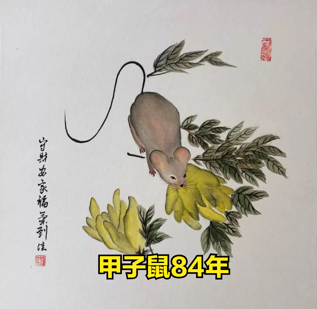 84年96年生肖鼠10月运势蓄势待发72年生肖鼠诸事皆顺