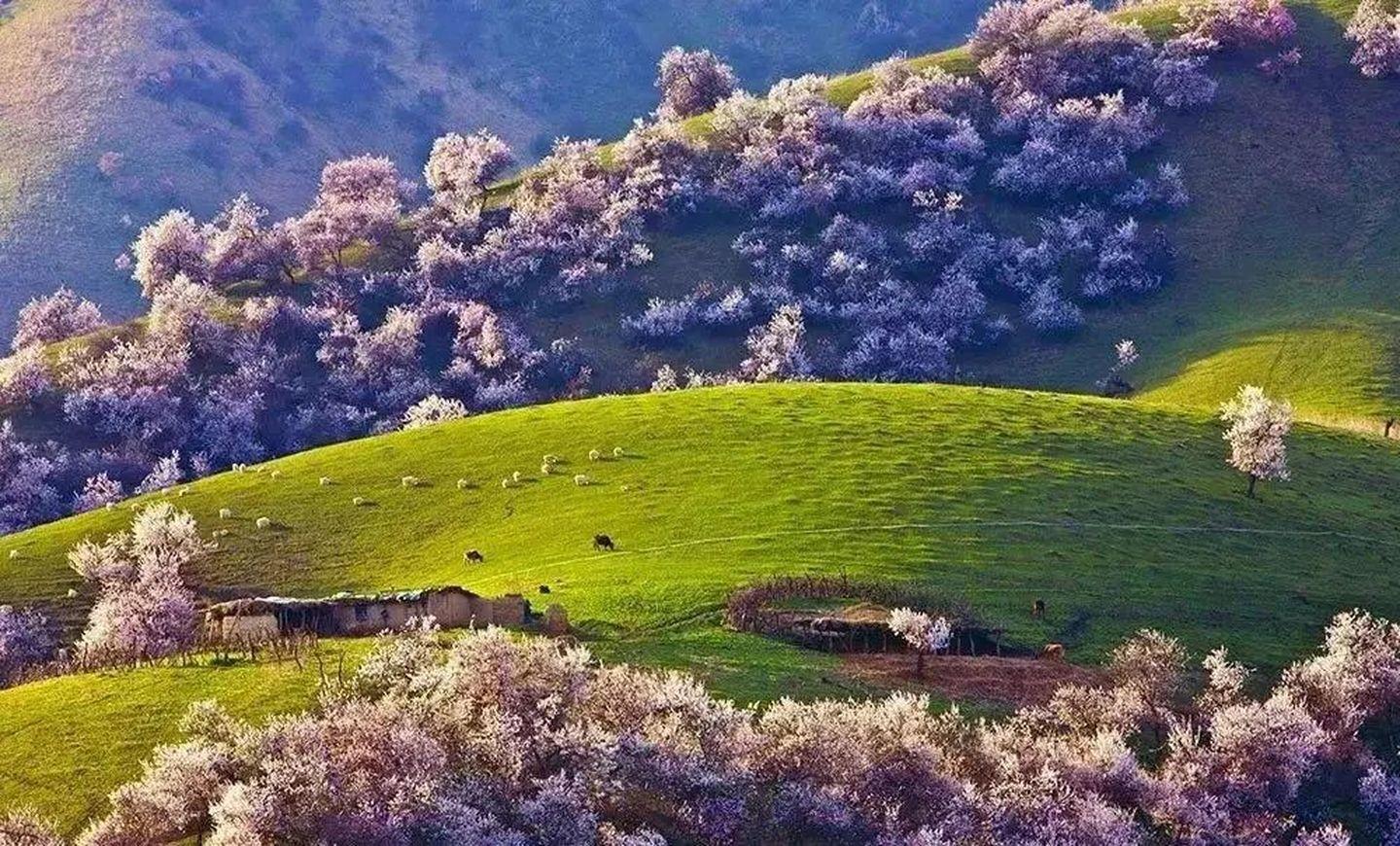 国家发改委和国家能源局联合开展能源保供稳价督导休闲区蓝鸢梦想 - Www.slyday.coM