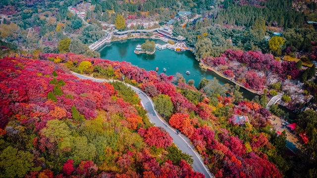 金秋游济南红叶谷,邂逅醉美秋色