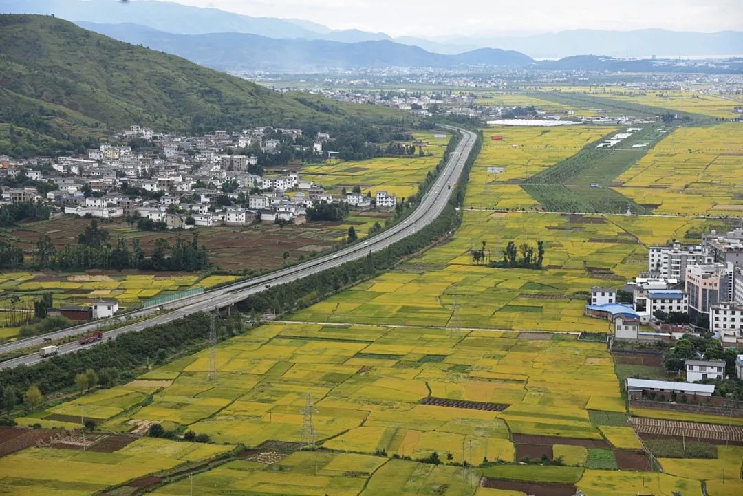 图为金秋时节洱源坝子.