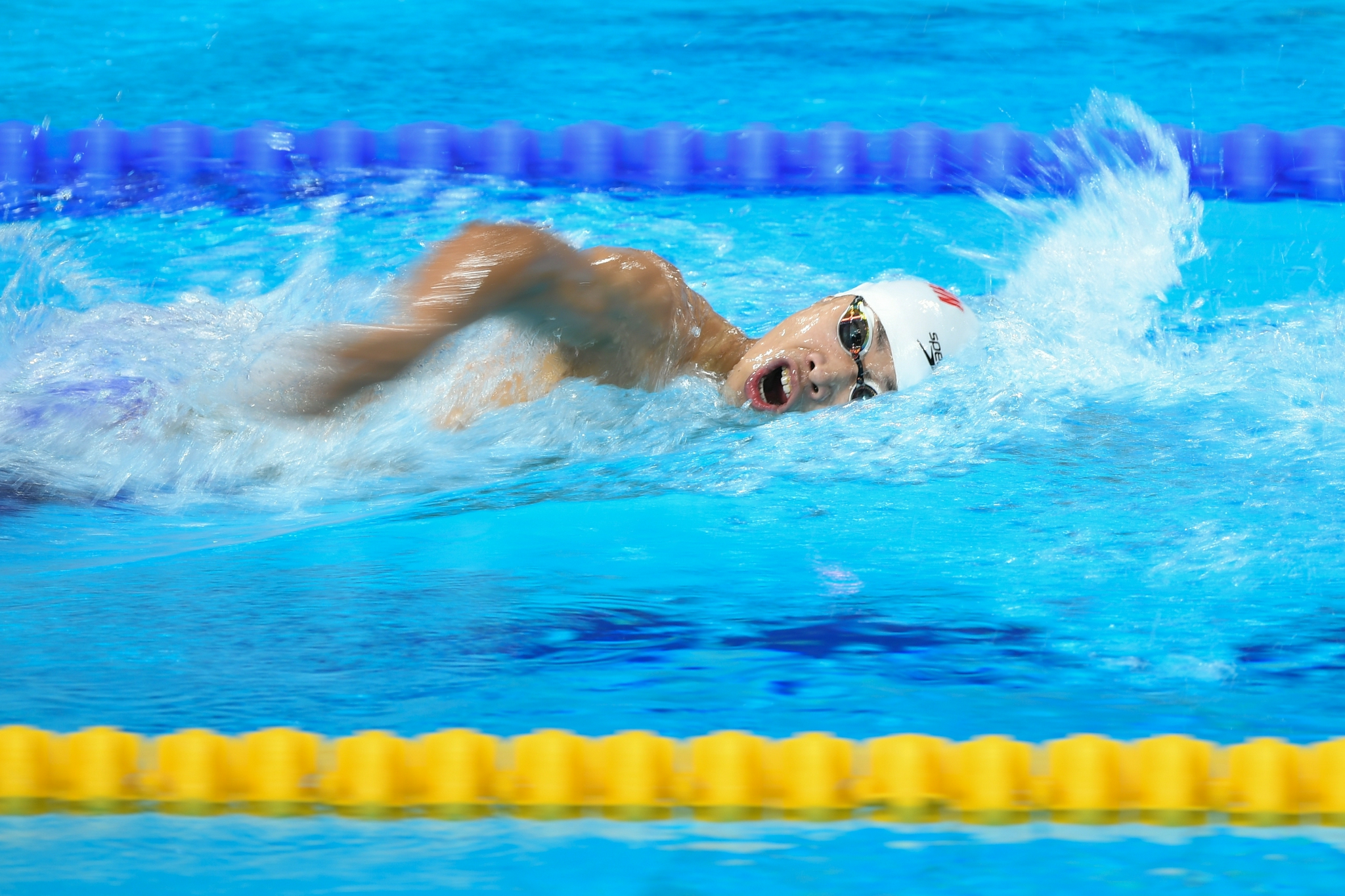 游泳男子800米自由泳预赛赛况