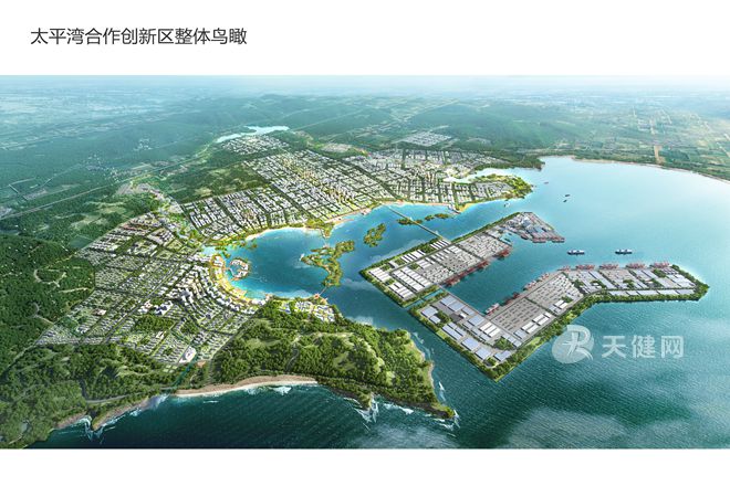 复制"前海模式" 太平湾启航东北"新特区"|辽宁省|大连市_新浪新闻