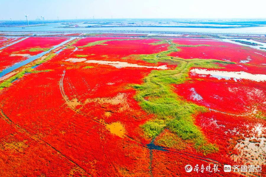 李林摄于黄河入海口特别声明:以上文章内容仅代表作者本人观点,不代表