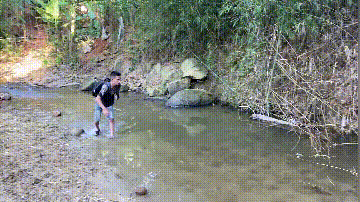 一只被人塞进瓶子里的猫，男子假装偶遇救了它，其实是为了拍视频休闲区蓝鸢梦想 - Www.slyday.coM