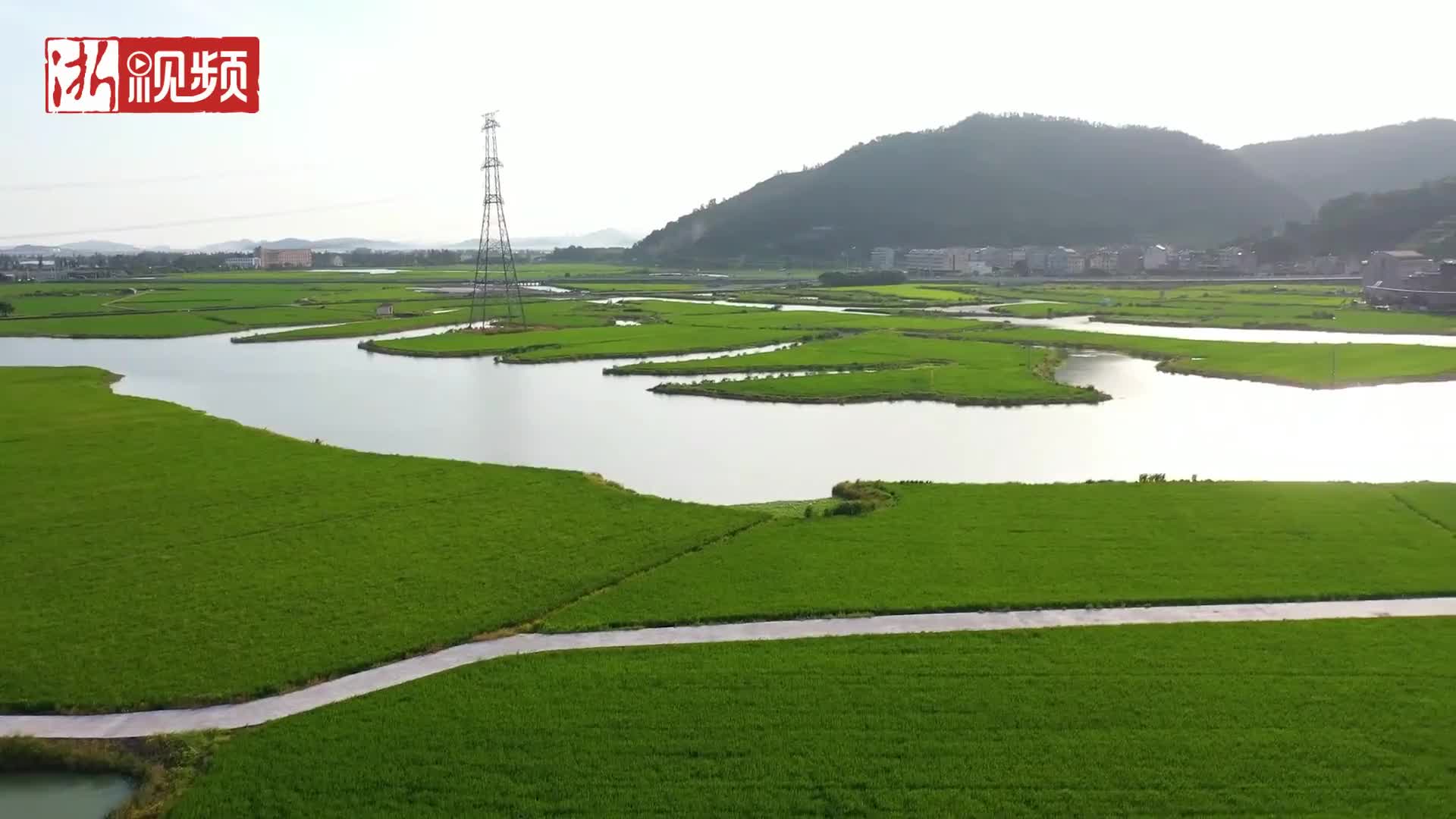 多彩坞根,美丽大塘湿地