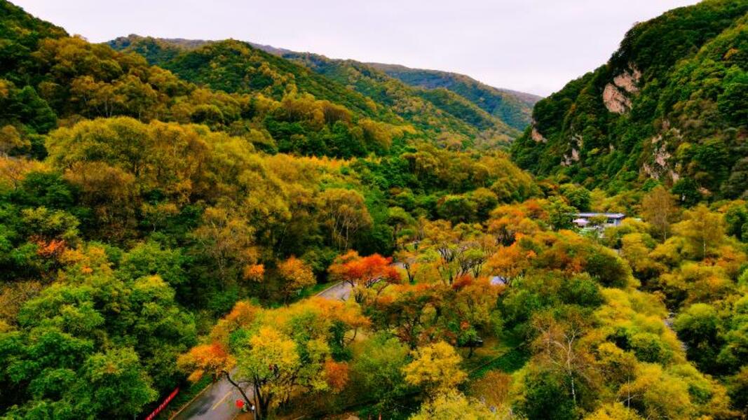 天高云淡,走进秋日绚丽缤纷的宁夏六盘山国家森林公园|宁夏|六盘山