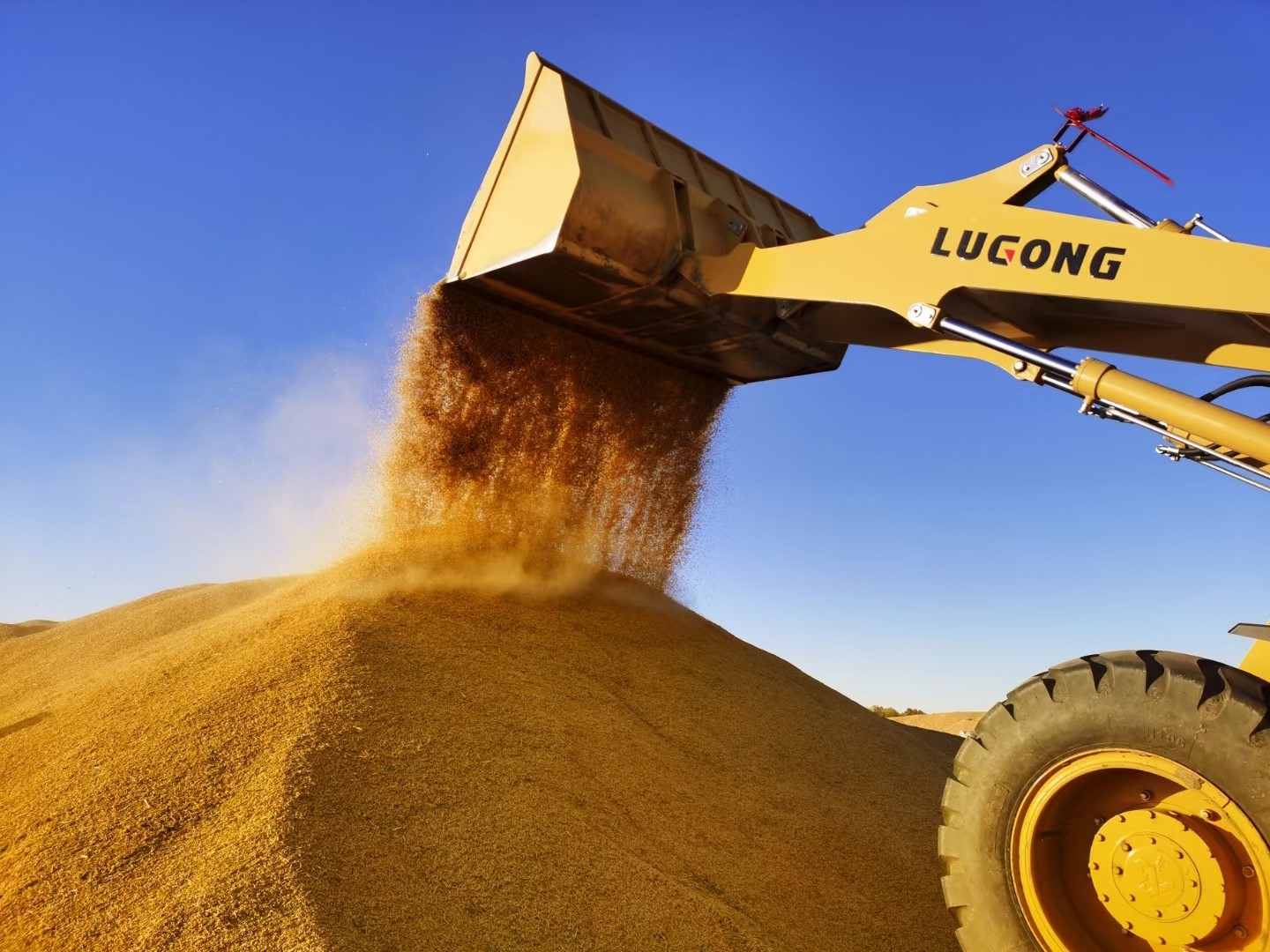 组图黑土粮仓庆丰收