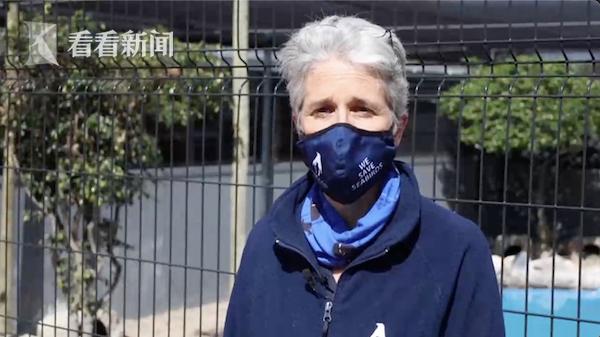 南非63只企鹅在海滩离奇死亡 竟是遭蜂群袭击休闲区蓝鸢梦想 - Www.slyday.coM