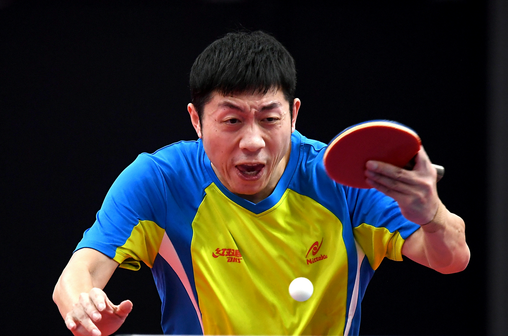 乒乓球——男子单打1/8决赛：许昕晋级八强休闲区蓝鸢梦想 - Www.slyday.coM