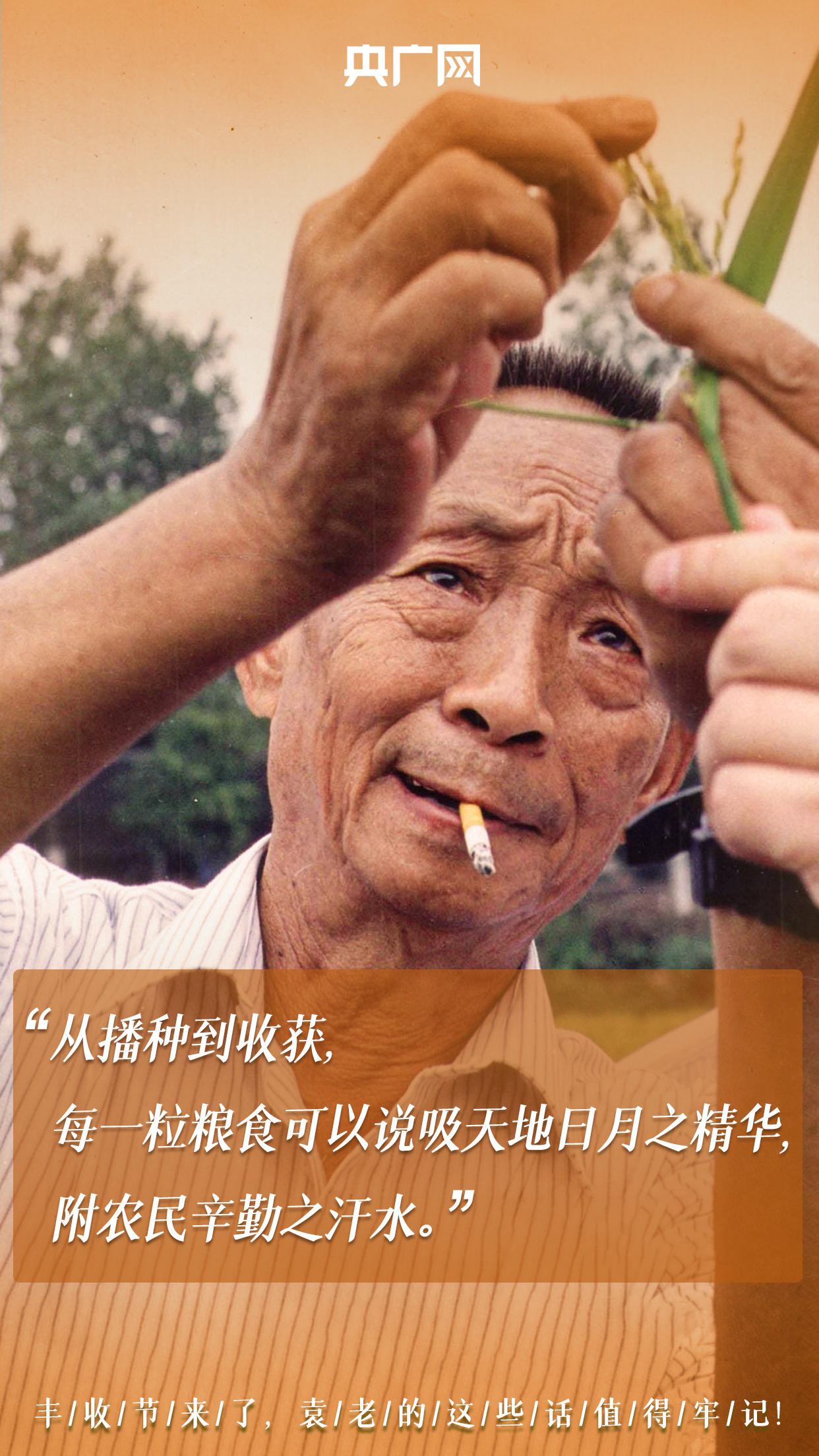 时刻警惕粮食安全问题袁老曾多次告诫我们就会想起袁隆平院士的辛勤