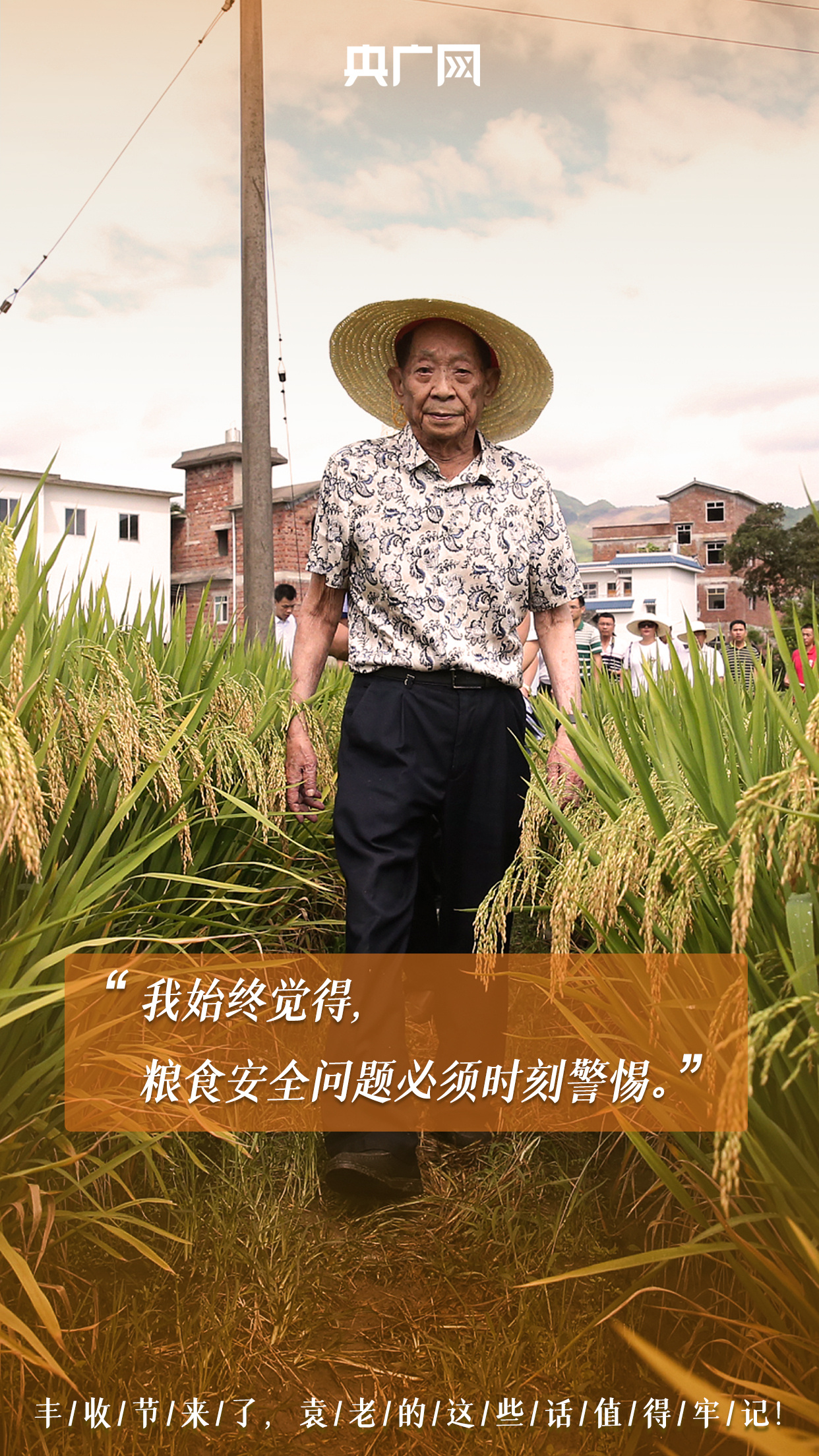 袁隆平院士的辛勤耕耘看到丰收季满眼金黄的稻穗今天(9月23日)是第四