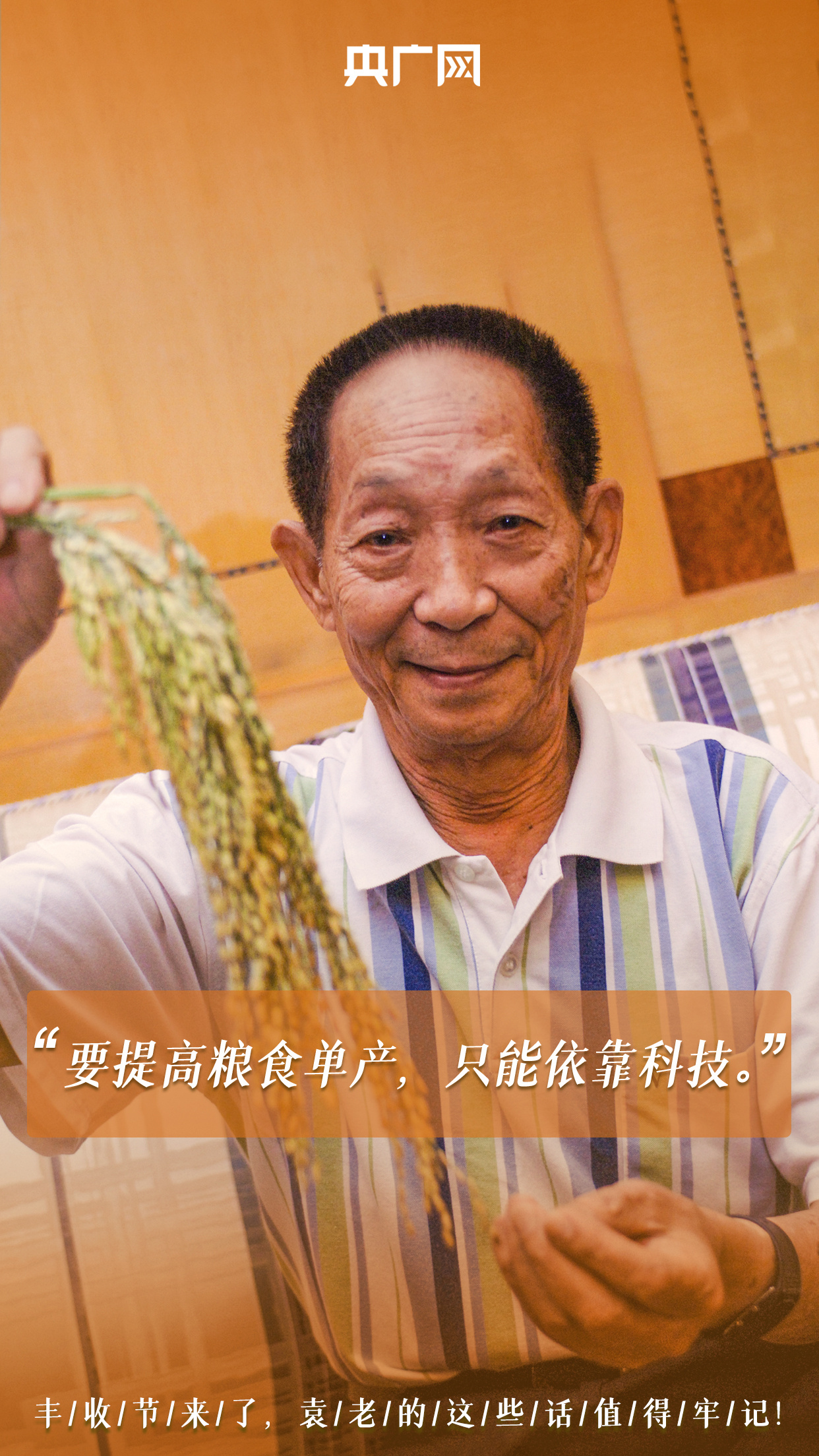 袁隆平院士的辛勤耕耘看到丰收季满眼金黄的稻穗今天(9月23日)是第四