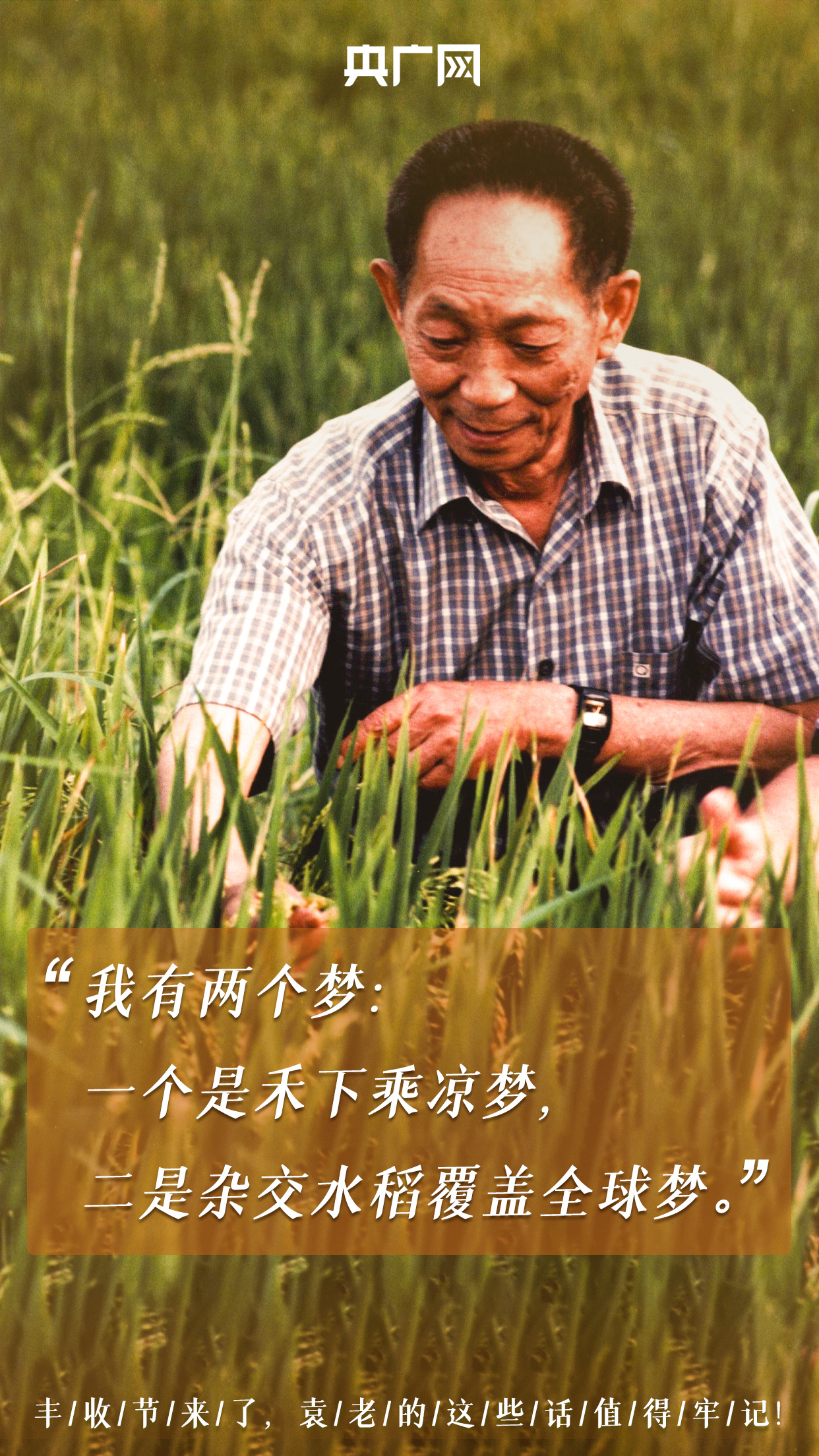 时刻警惕粮食安全问题袁老曾多次告诫我们就会想起袁隆平院士的辛勤