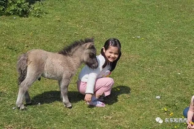 半个月前没人知道她是谁，现在被全世界疯狂追捧，这个18岁华裔少女凭啥爆红？休闲区蓝鸢梦想 - Www.slyday.coM