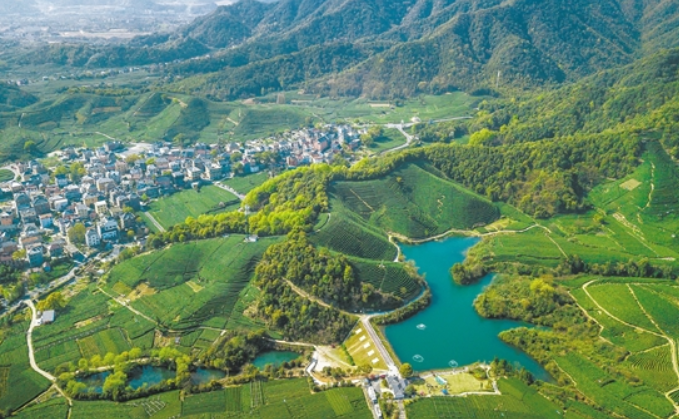 生态为基 数字赋能 协同共建 西湖区转塘街道描绘未来乡村新图景