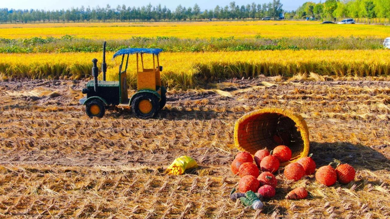 我拍了拍秋发现银川满怀的丰收藏不住了