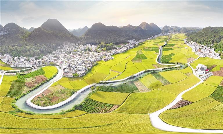 镇宁自治县江龙镇金色稻谷美景.王恒山 摄