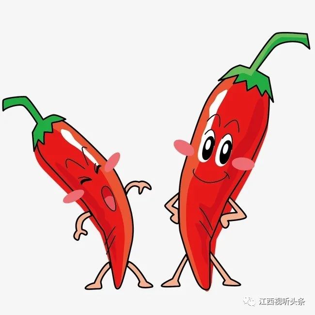 闻香识提不止颜值正是菱角丰收时一池翠绿捞"元宝"万年县湖云乡绿是溢