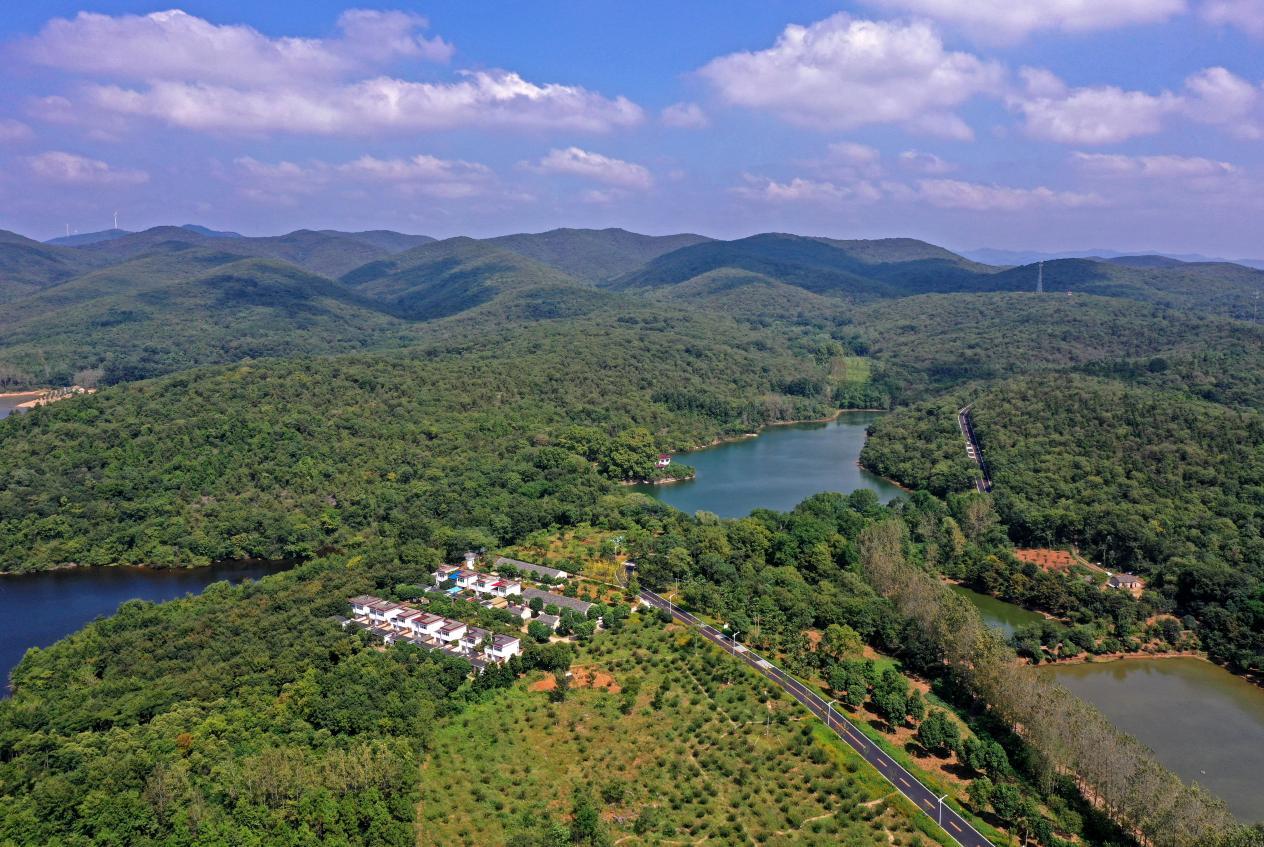 安徽全椒:最是一年秋好处 尽赏秋色在慢岭