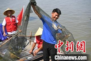图为渔民展示捕捞的大闸蟹 韩苏原 摄