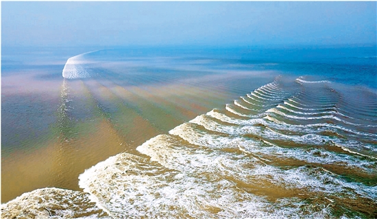 钱江潮添新景鱼鳞潮!浙报关注最新涌潮科考报告